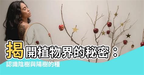 陰樹陽樹種類 家樂花風水